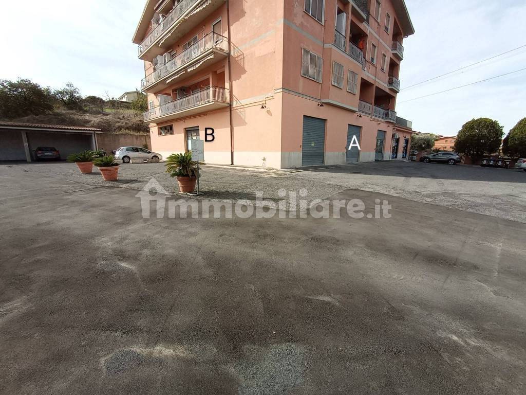 immagine annuncio 4 di 7