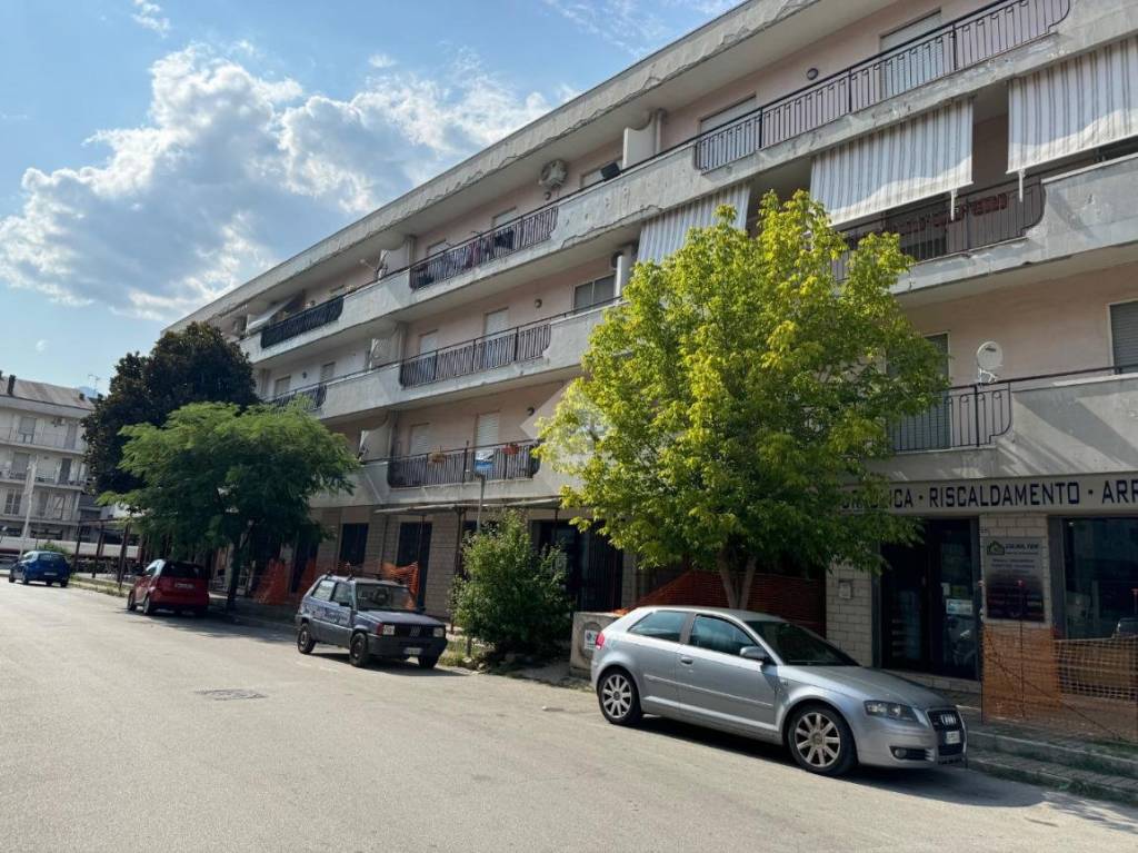 immagine annuncio 12 di 15