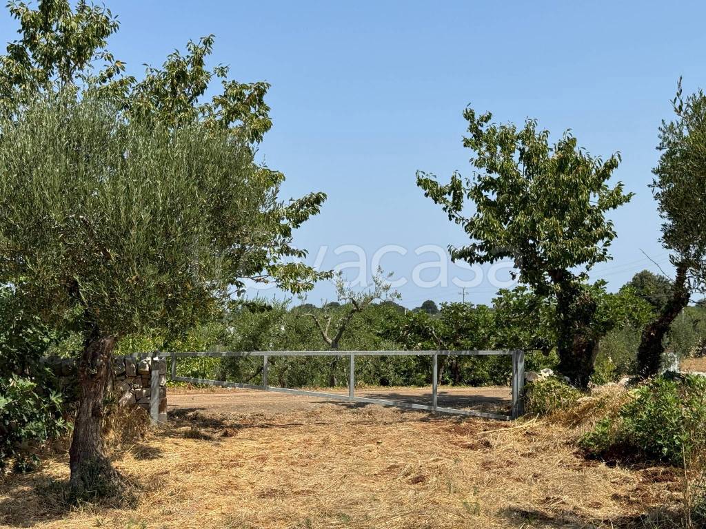 immagine annuncio 10 di 12