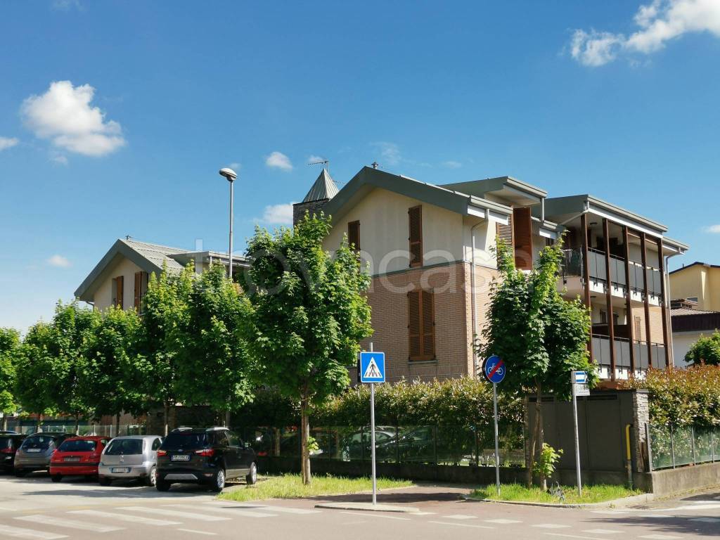 immagine annuncio 3 di 6