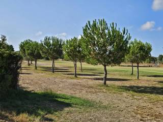 Terreno residenziale in vendita a miglianico contrada cerreto, 120/36