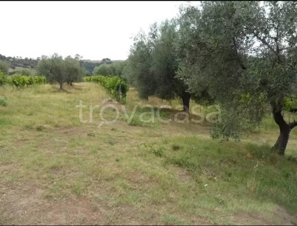 immagine annuncio 4 di 6