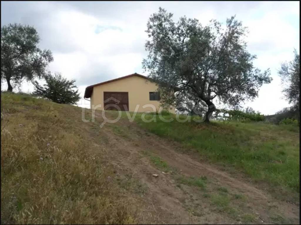 immagine annuncio 5 di 6