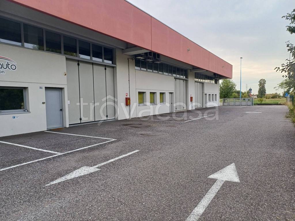 immagine annuncio 2 di 12