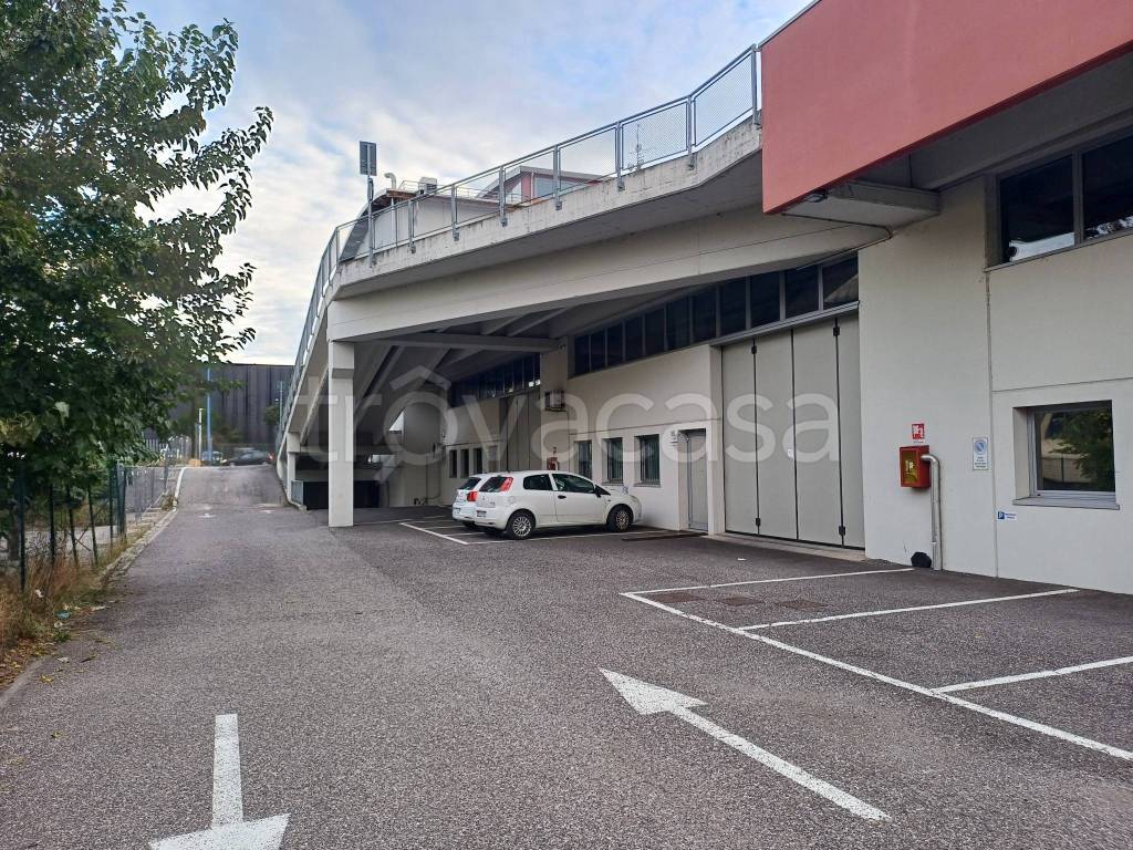 immagine annuncio 3 di 12