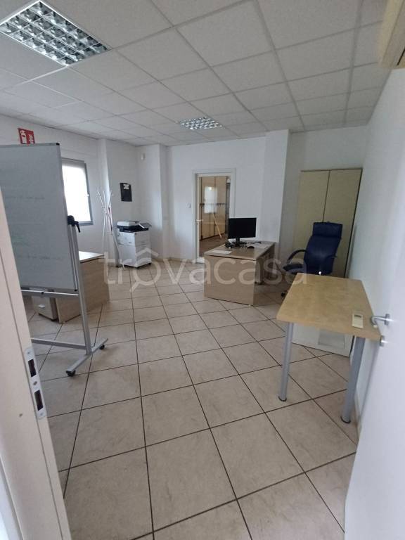 immagine annuncio 6 di 12