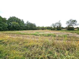 Terreno agricolo in vendita ad anzano del parco 