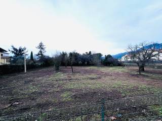 Terreno agricolo in vendita a massa via marina vecchia