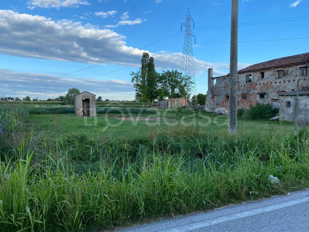 immagine annuncio 4 di 12