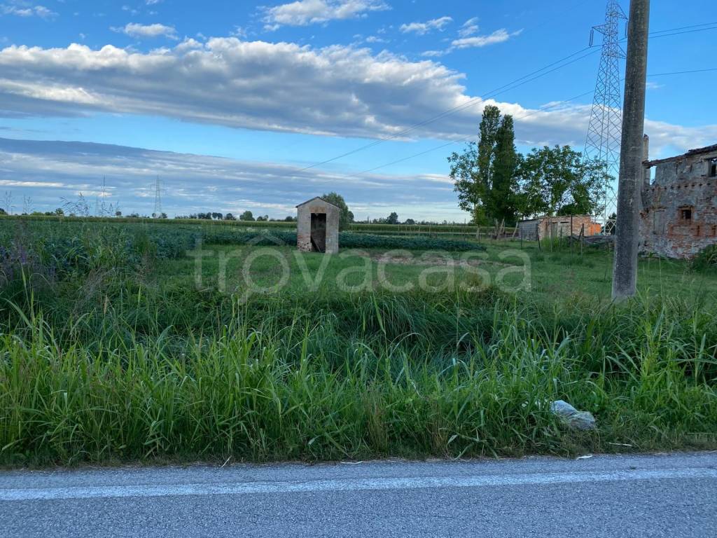immagine annuncio 6 di 12