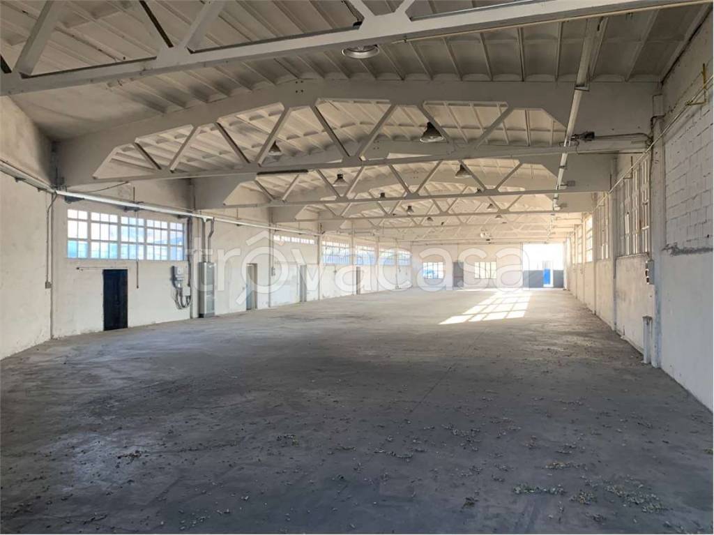 immagine annuncio 3 di 6