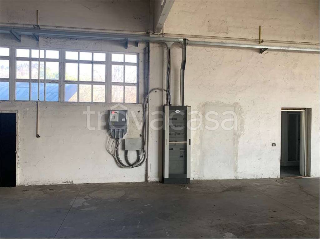 immagine annuncio 5 di 6