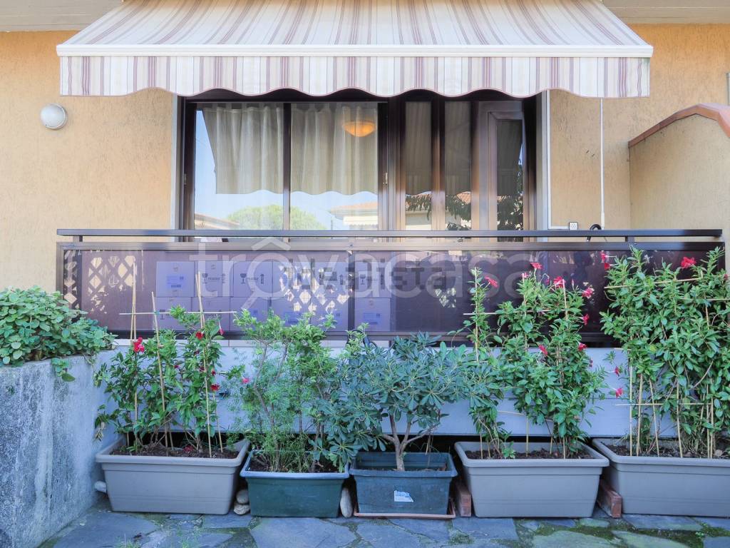 immagine annuncio 2 di 12