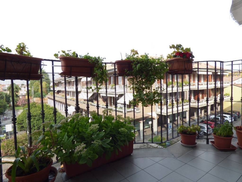 immagine annuncio 4 di 12