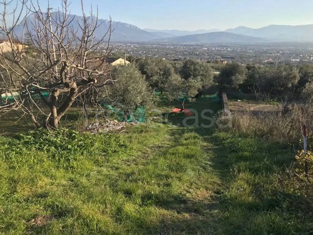 immagine annuncio 3 di 6