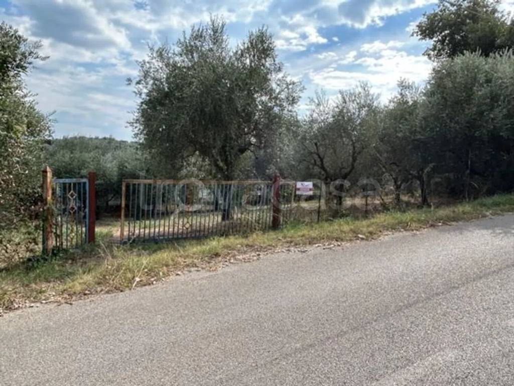 immagine annuncio 1 di 8
