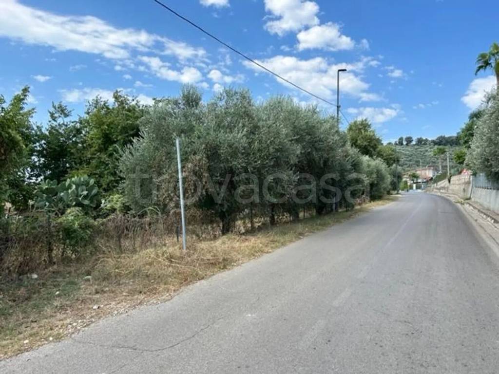 immagine annuncio 3 di 8