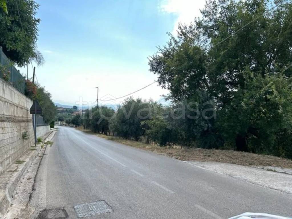immagine annuncio 5 di 8