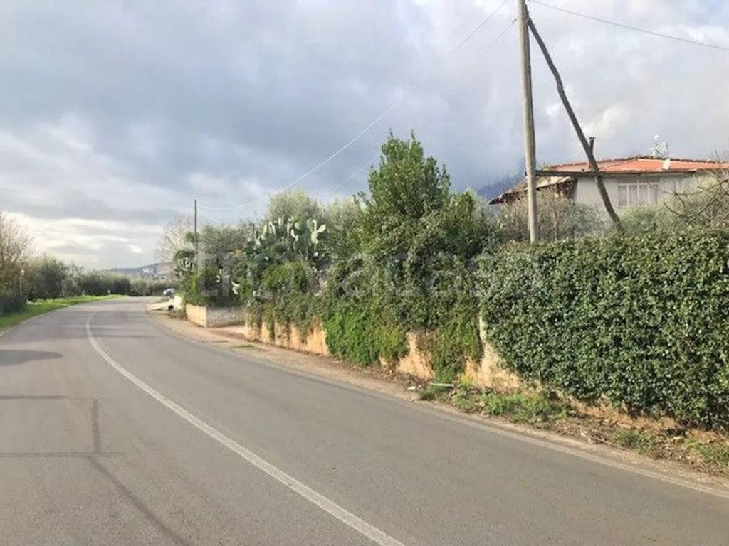 immagine annuncio 3 di 6