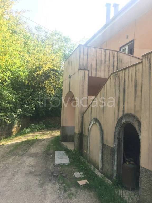 immagine annuncio 7 di 12