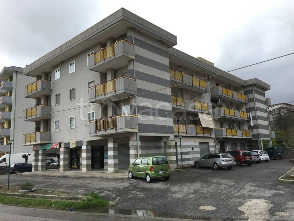 immagine annuncio 1 di 3