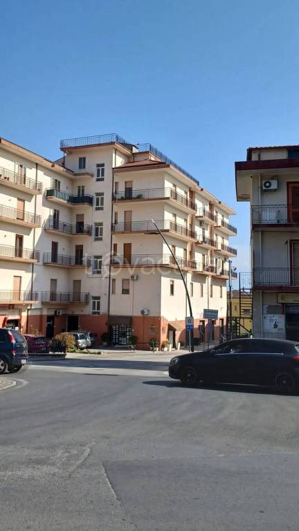 immagine annuncio 2 di 8