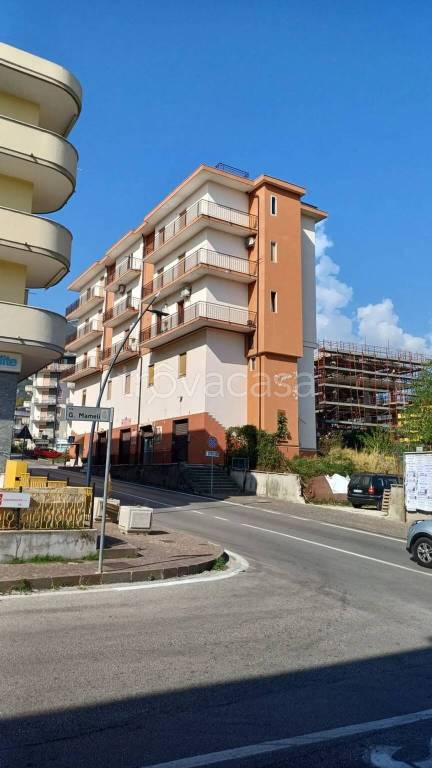 immagine annuncio 3 di 8