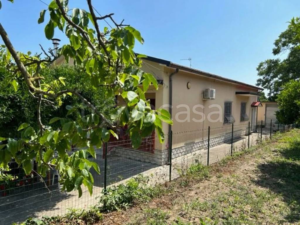 immagine annuncio 3 di 11