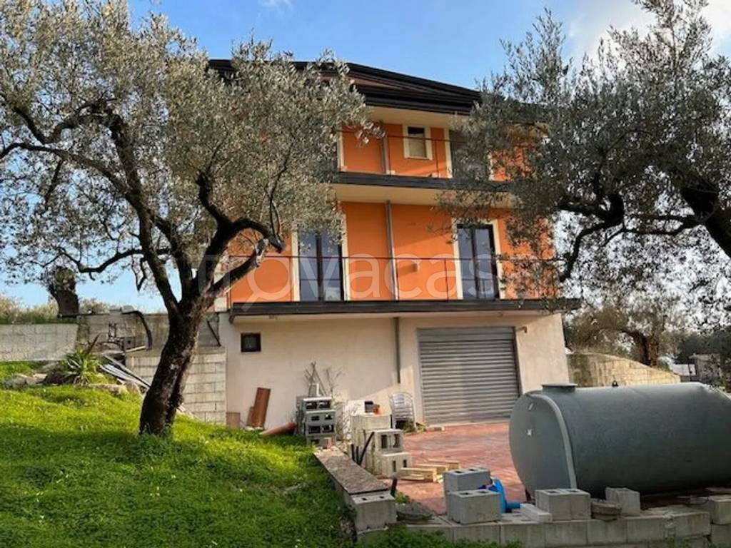immagine annuncio 3 di 12