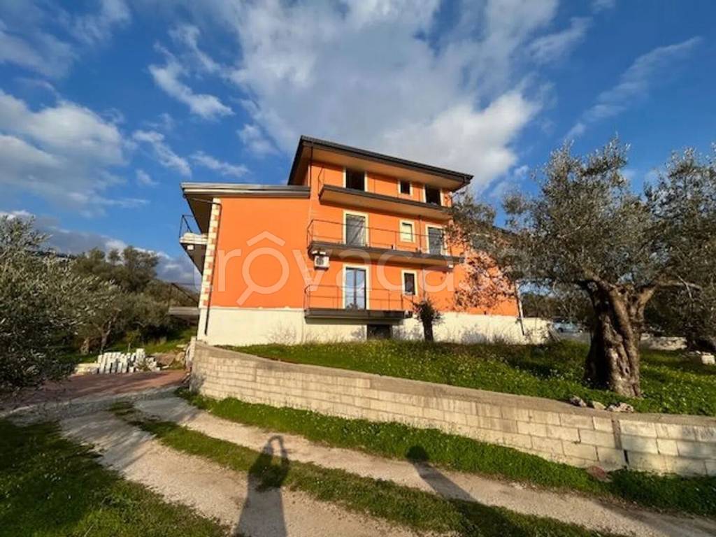 immagine annuncio 5 di 12