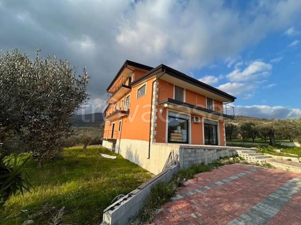 immagine annuncio 6 di 12