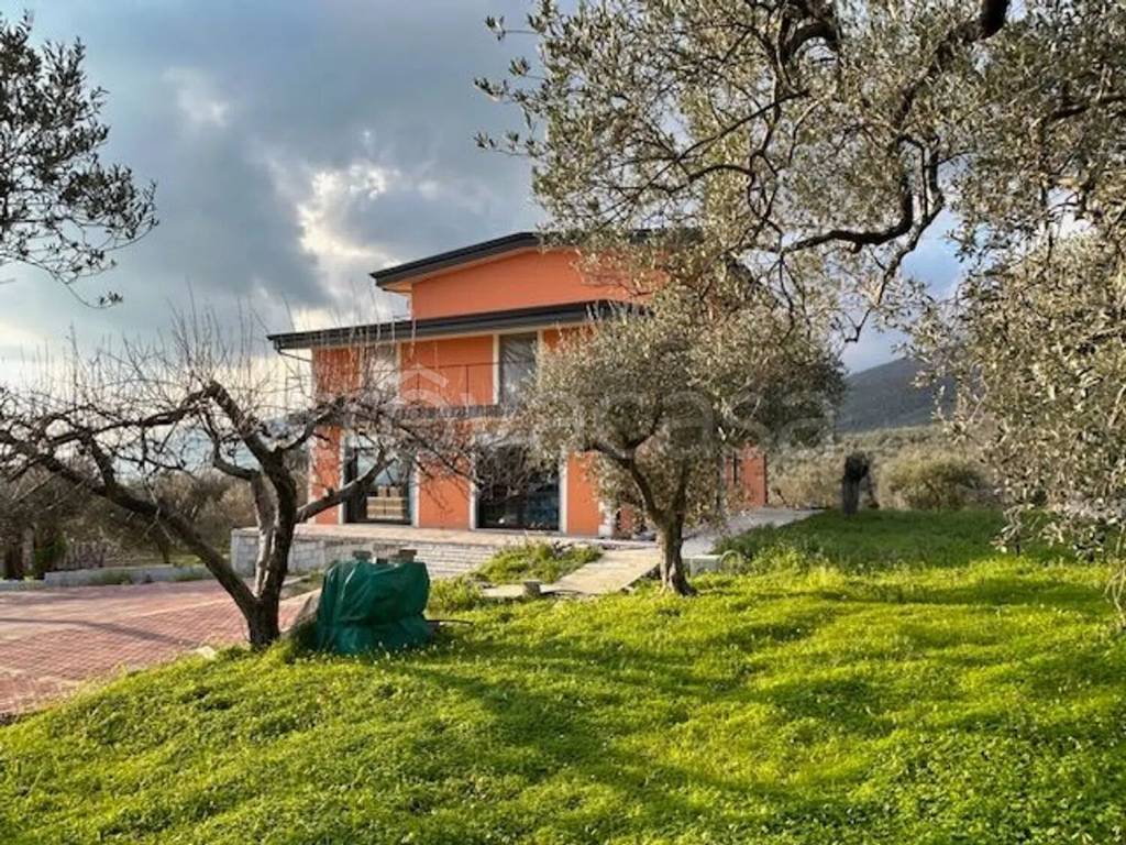 immagine annuncio 8 di 12