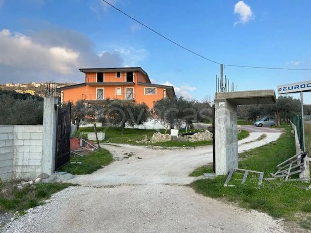 immagine annuncio 11 di 12