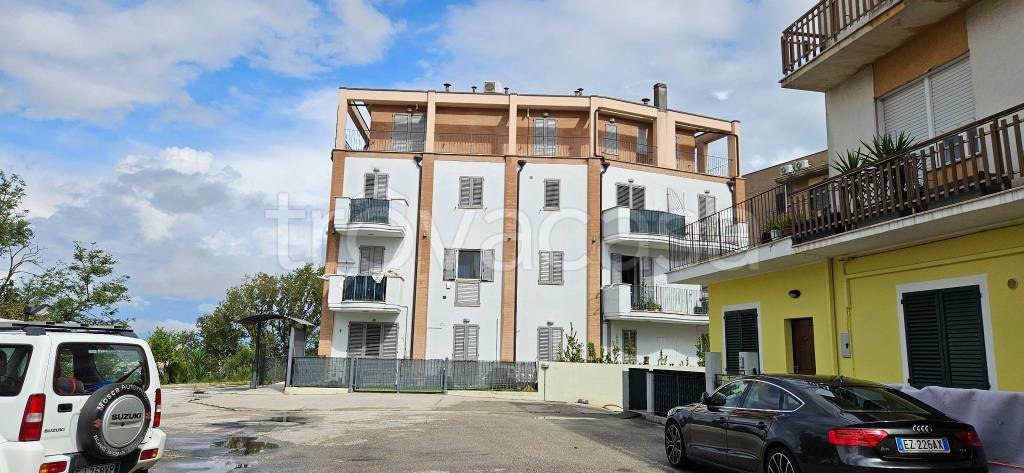 immagine annuncio 9 di 14