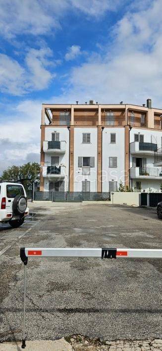 immagine annuncio 11 di 14