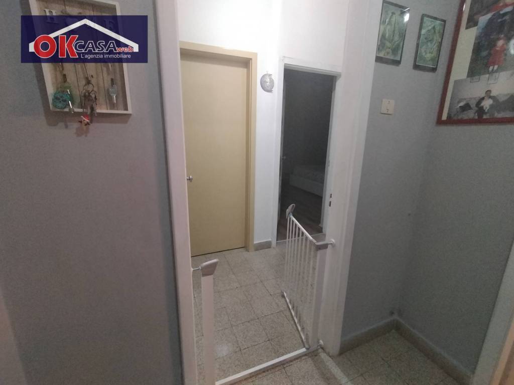 immagine annuncio 3 di 12
