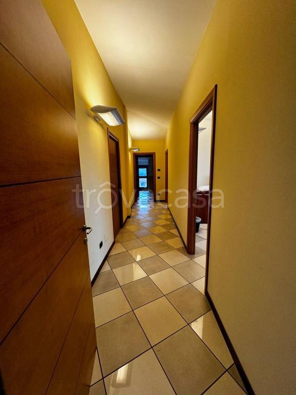 immagine annuncio 9 di 14