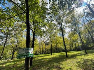 Terreno agricolo in vendita a selci via selci