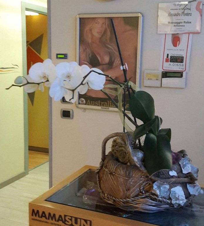 immagine annuncio 2 di 7