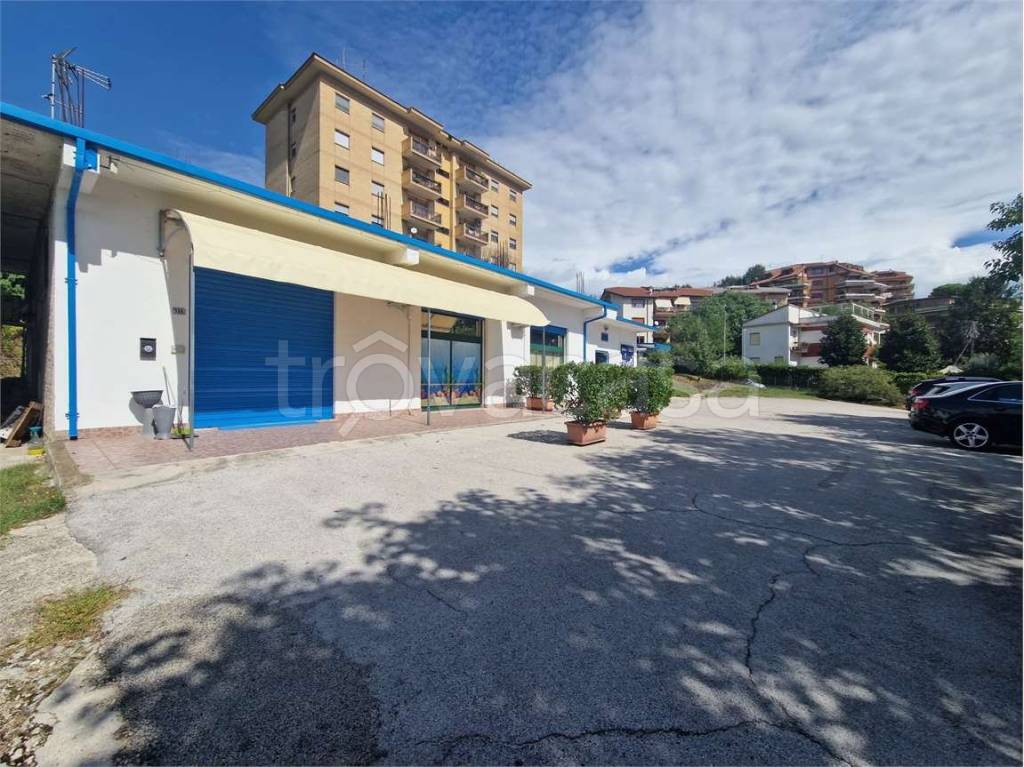 immagine annuncio 6 di 11