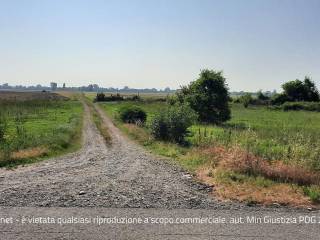 Terreno agricolo in vendita a cortemaggiore strada provinciale, ...