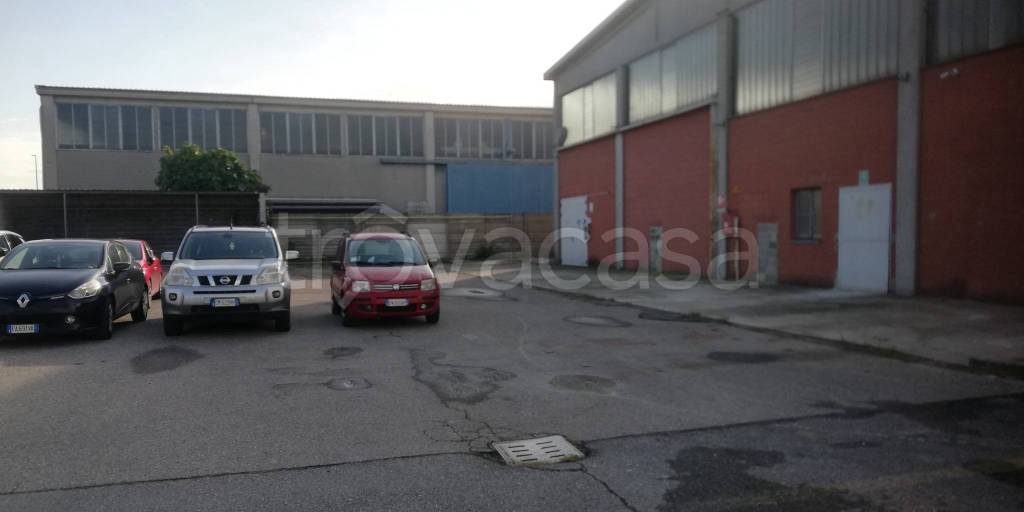 immagine annuncio 5 di 15