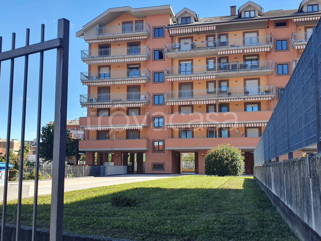 immagine annuncio 3 di 15
