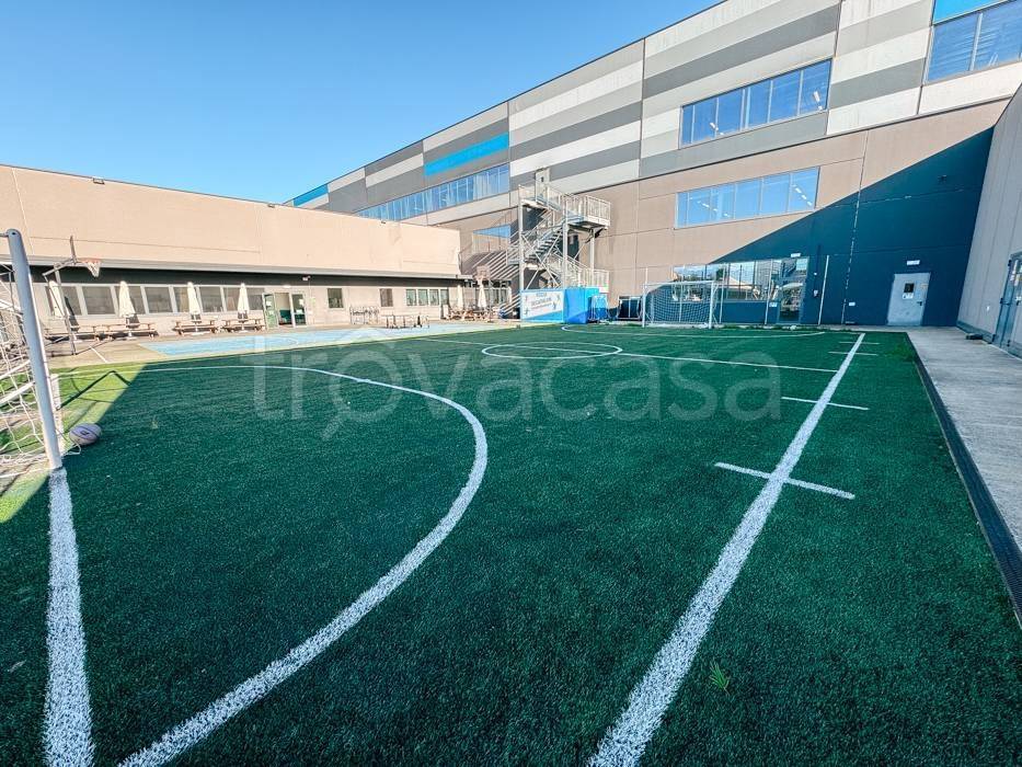 immagine annuncio 5 di 15