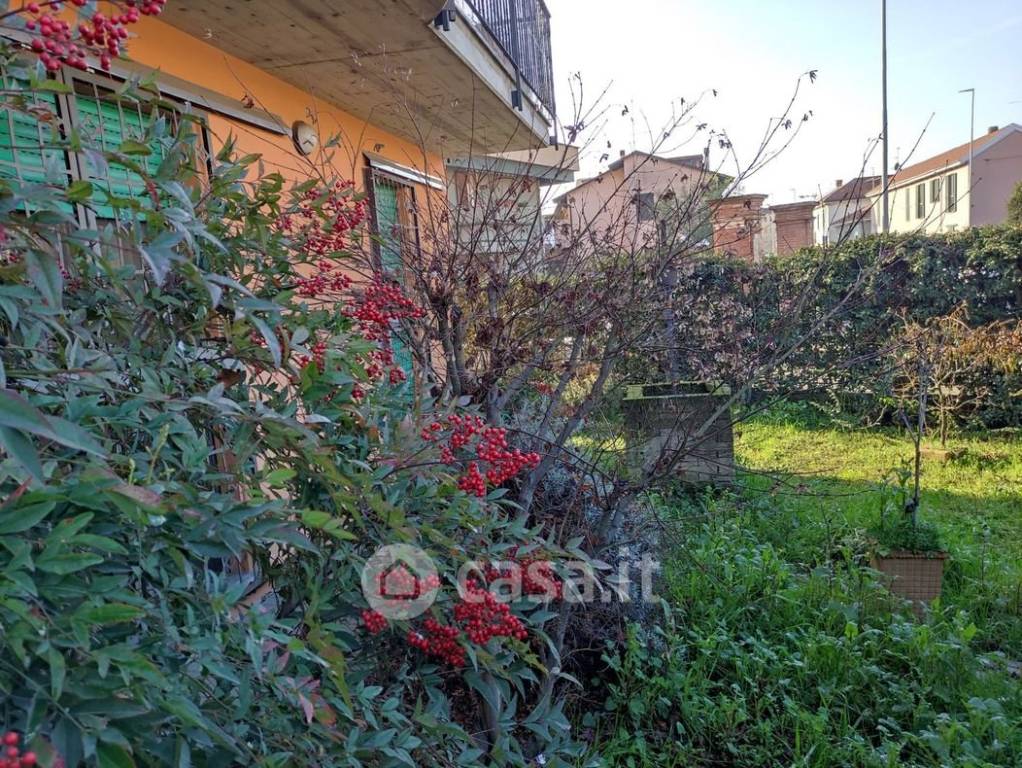 immagine annuncio 5 di 14