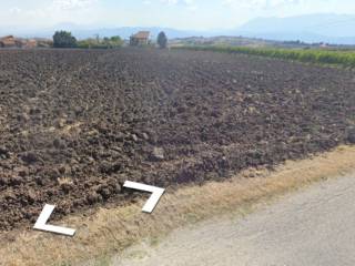 Azienda agricola all'asta a benevento contrada stella