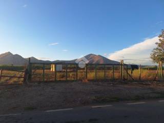 Terreno agricolo in vendita a mondragone via stazione