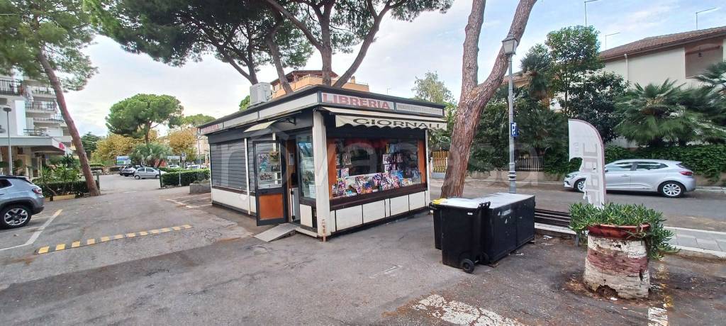 immagine annuncio 2 di 13