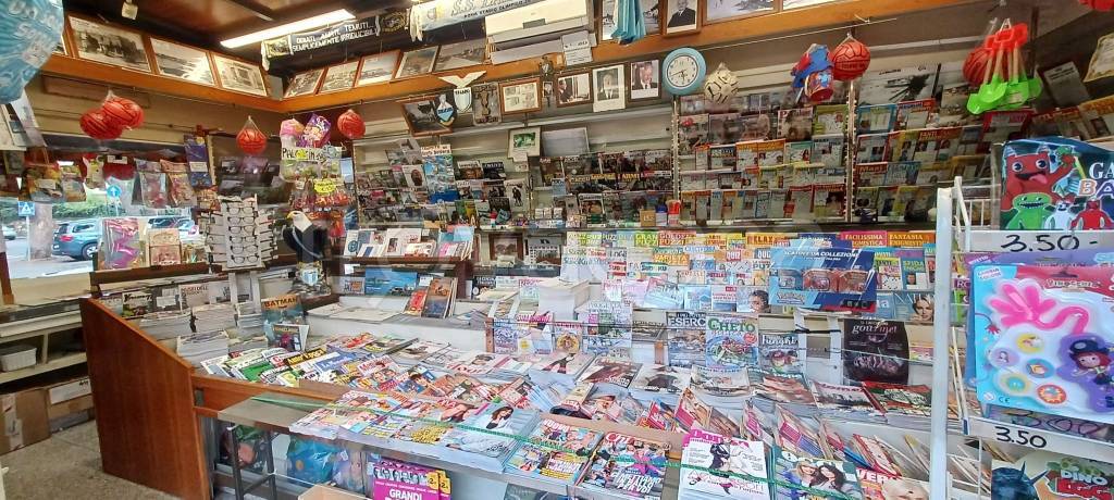 immagine annuncio 6 di 13
