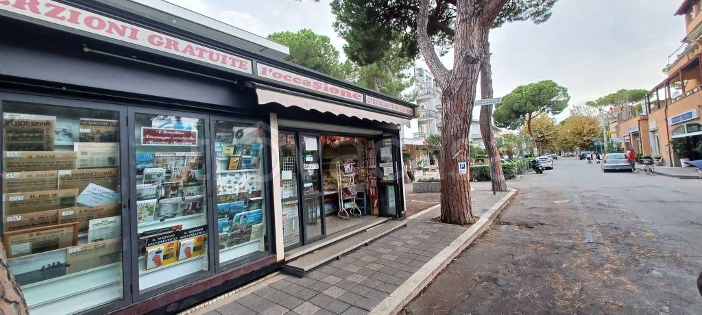 immagine annuncio 11 di 13